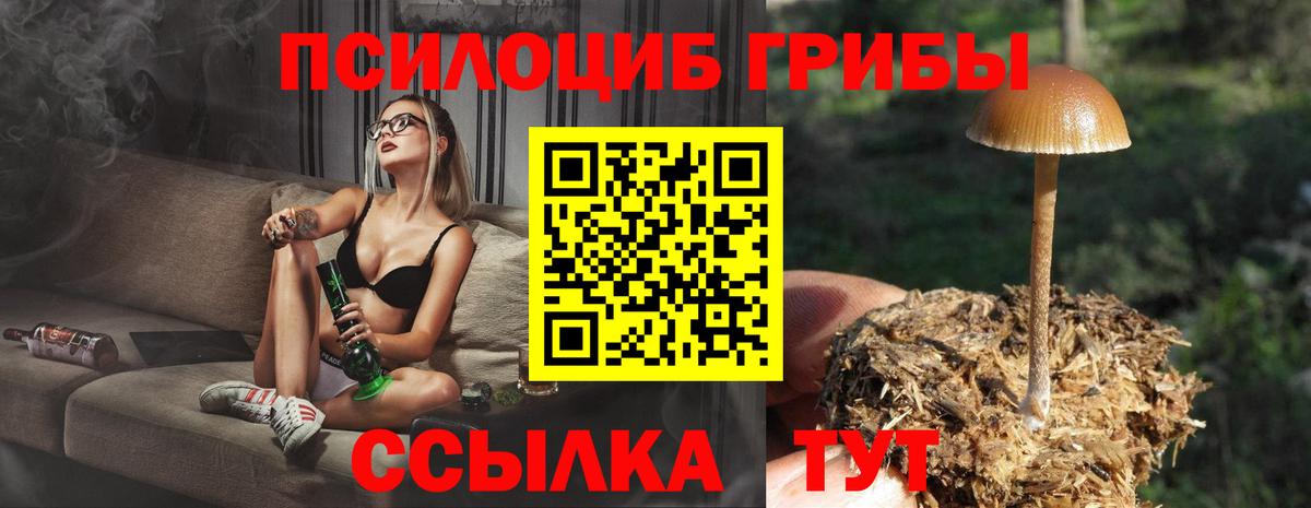 Галлюциногенные грибы Cubensis  Вход с VPN  Кунгур 